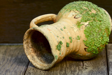 Old clay jug covered by lichenの写真素材