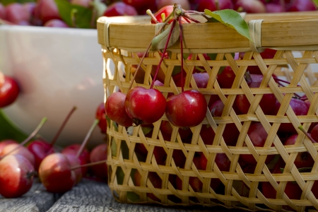 Ripe wild apples in a basket and on a wooden tableの写真素材