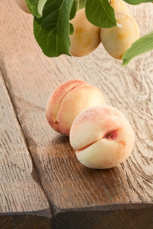Ripe goldish velvety peaches and yellow plumsの写真素材