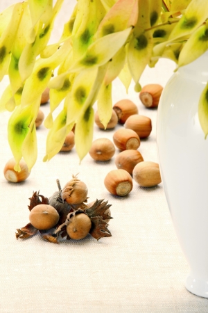 Hazelnuts on the table near the ceramic vase の写真素材
