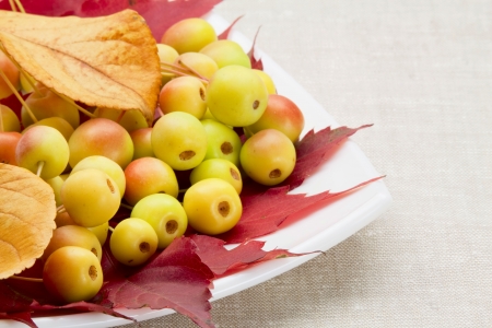 Wild apples and autumnal leaves on a ceramic plateの写真素材