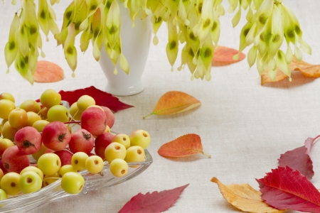 On a table wild apples in a glass vase and autumn leavesの写真素材