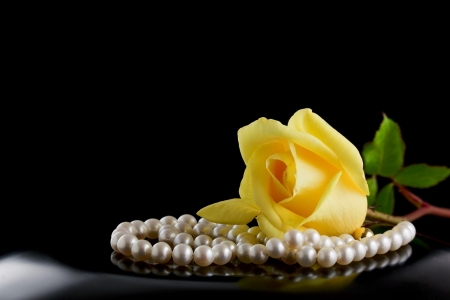 Pearls and yellow rose on a black backgroundの写真素材