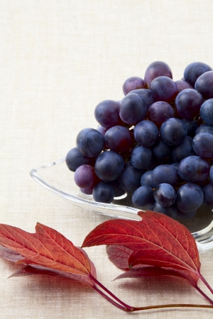 Ripe grapes in a glass vase and autumn leavesの写真素材