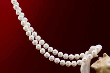 Bright necklace of natural pearls on a dark red backgroundの写真素材