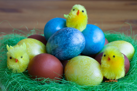 colored Easter eggs with yellow chicksの写真素材
