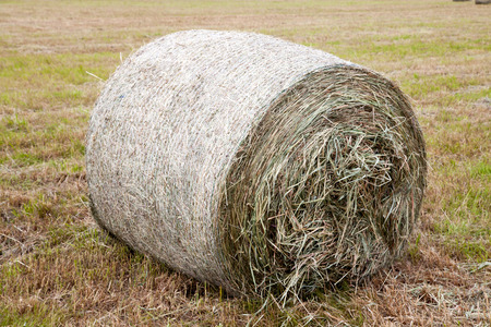 haystack on the fieldの写真素材