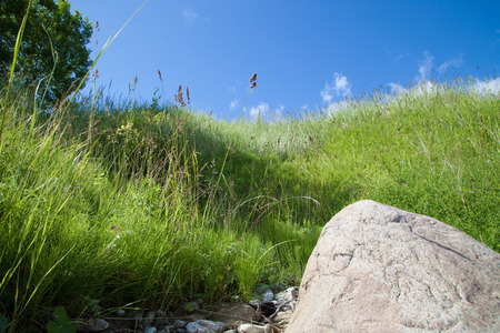 green grass against the blue skyの写真素材