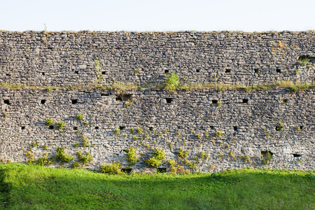 texture of the stone wall with grassの写真素材