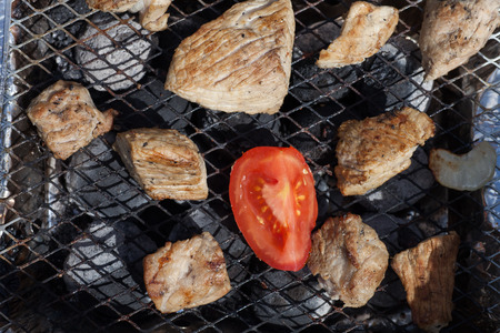 Cooking of a barbecue on a grill closeupの写真素材
