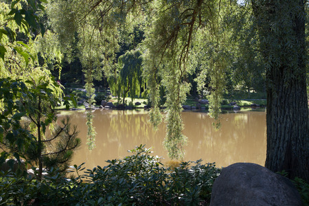 The lake in a frame from foliageの写真素材