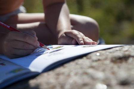 Boy's hand drawing a pencilの写真素材