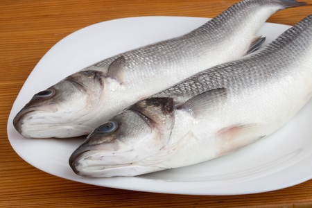 raw seabass fish on the plateの写真素材