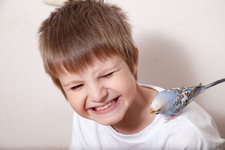 Portrait of a boy with parrotの写真素材