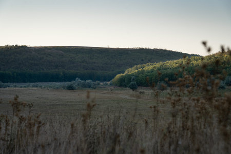 Serene countryside landscape with a golden meadow and distant forested hills under soft evening...