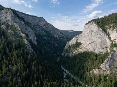 Aerial view of rocky mountain gorge with conifer forest and winding roadの写真素材