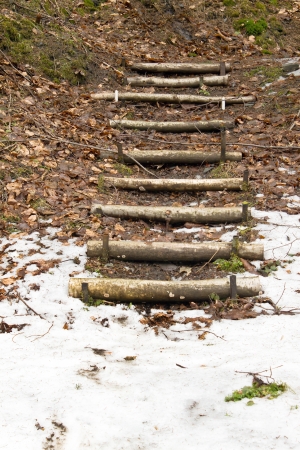 Ladder on a slope from round logsの写真素材