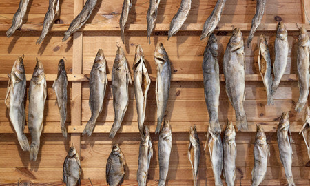 Dried fish hung on the gridの写真素材
