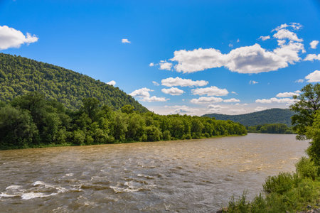 Bright day on the mountain river.
