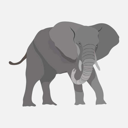 Image elephant, African animal, royal animal, flat design vector imageのイラスト素材