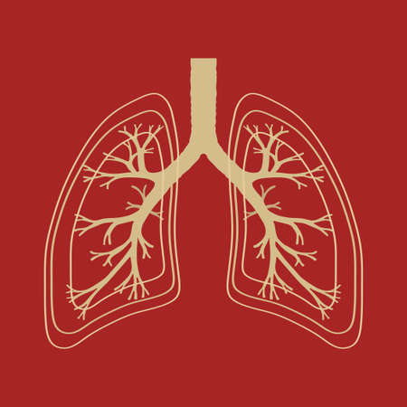 Human Lung, anatomy illustration, illness respiratory cancer graphics, vector imageのイラスト素材