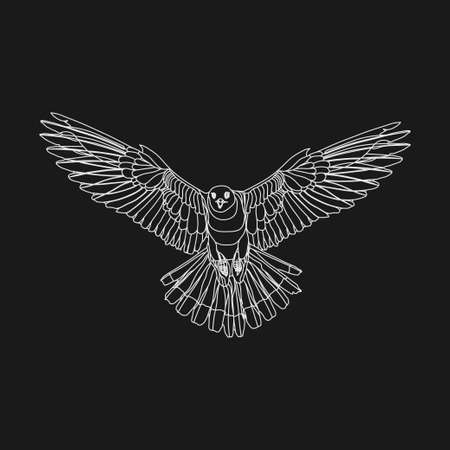 realistic eagle soaring eagle, catching prey, a symbol of freedom, flat design, imageの写真素材