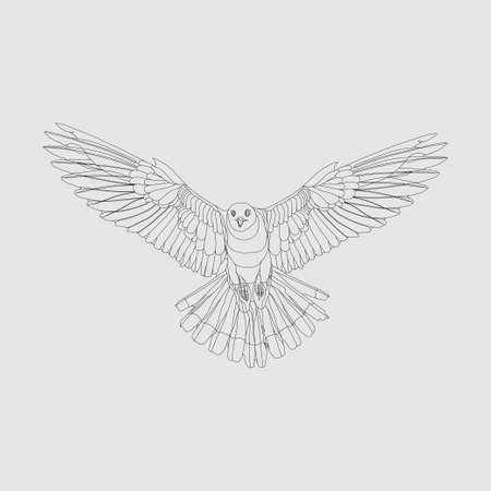realistic eagle soaring eagle, catching prey, a symbol of freedom, flat design, imageの写真素材