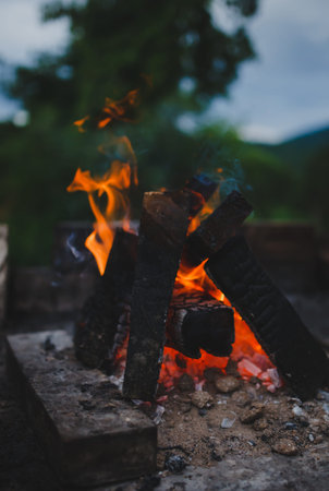 burning wood ready for the grill