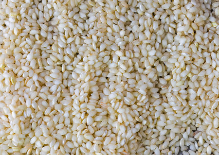 white rice uncooked Italian rice grains background