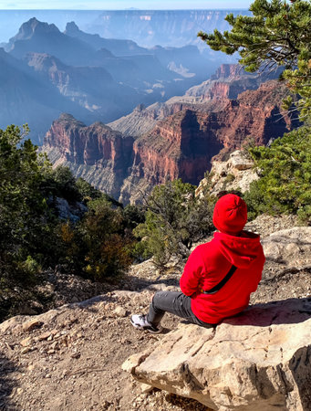 young boy at the edge of the cliff in colorado grand canyon. freedom, travelの写真素材