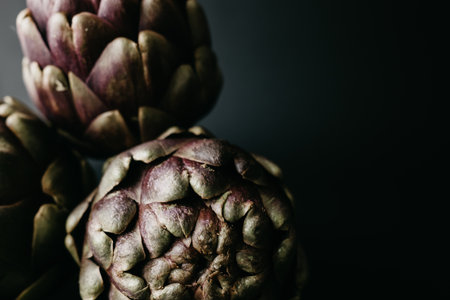 Artichoke flower, purple and green edible bud isolatedの写真素材