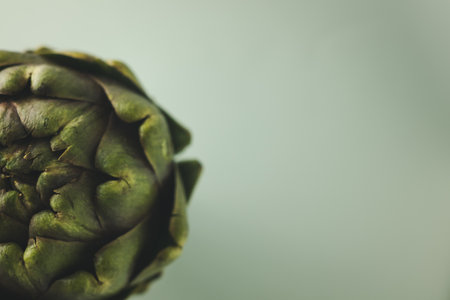 Artichoke flower, purple and green edible bud isolatedの写真素材