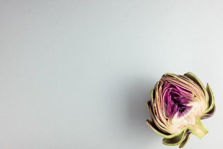Artichoke flower, purple and green edible bud isolatedの写真素材