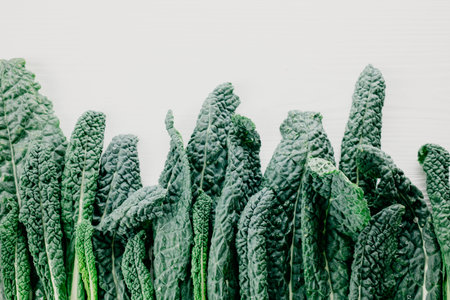 Green salad leaves on the white background, copy space