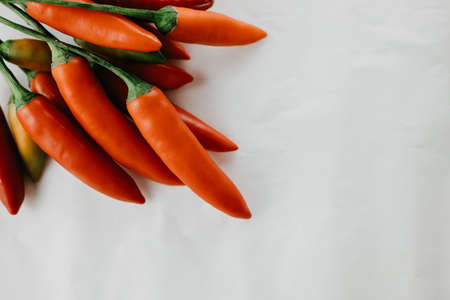 Red hot chili pepper, copy space, beautiful colors and texturesの写真素材