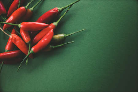 Red hot chili pepper, copy space, beautiful colors and texturesの写真素材