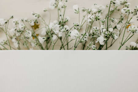 vintage mockup paper with white flowers and golden stars on the wooden background, copy spaceの写真素材