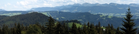 woods of Bregenz, the Alpsの写真素材