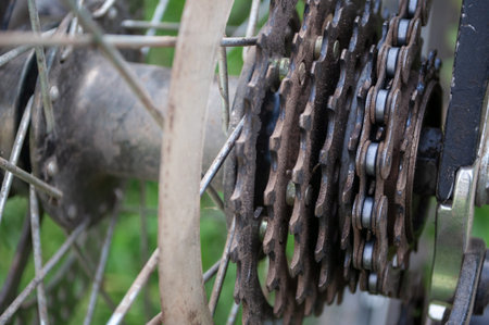 rusty stars on the back wheel of a bicycle in summer