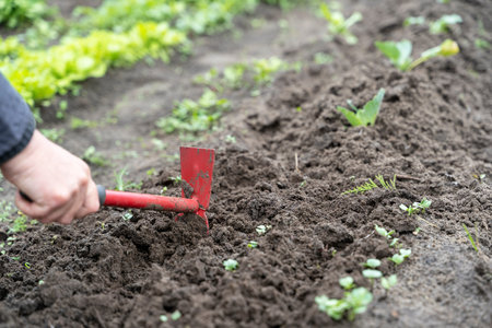 girl pulls weeds out of the ground, the concept of a good