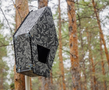 makeshift houses for the birds in the Parkの写真素材