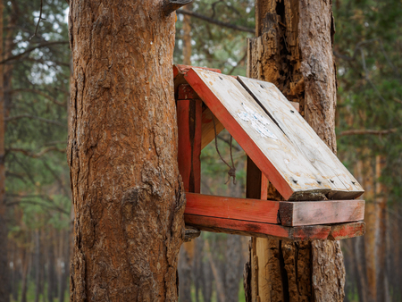 makeshift houses for the birds in the Parkの写真素材