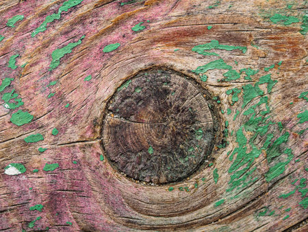 Picture of a wooden surface for the background hd