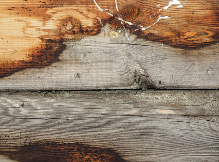 Picture of a wooden surface for the background hdの写真素材