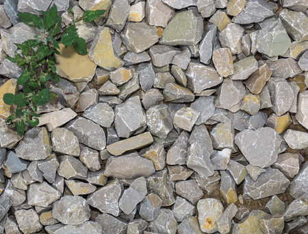 Stones, grass, ground-for the background hd
