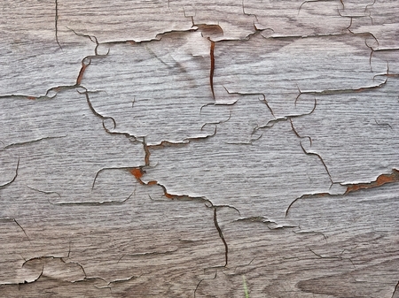 Photo of a wooden surface for the background hdの写真素材