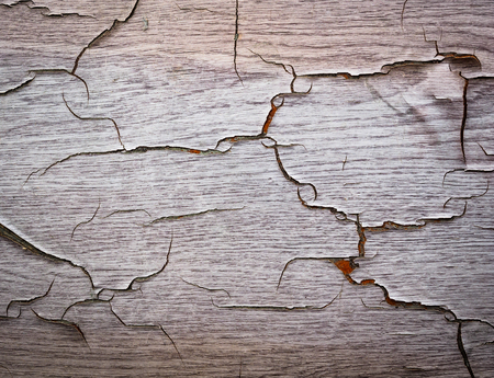 Photo of a wooden surface for the backgroundの写真素材