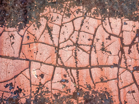 Picture of a rusty, colored metal surfaceの写真素材