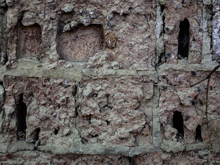picture of a fragment of an old brick wall for use as a backgroundの写真素材