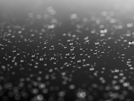 water drops in blackの写真素材